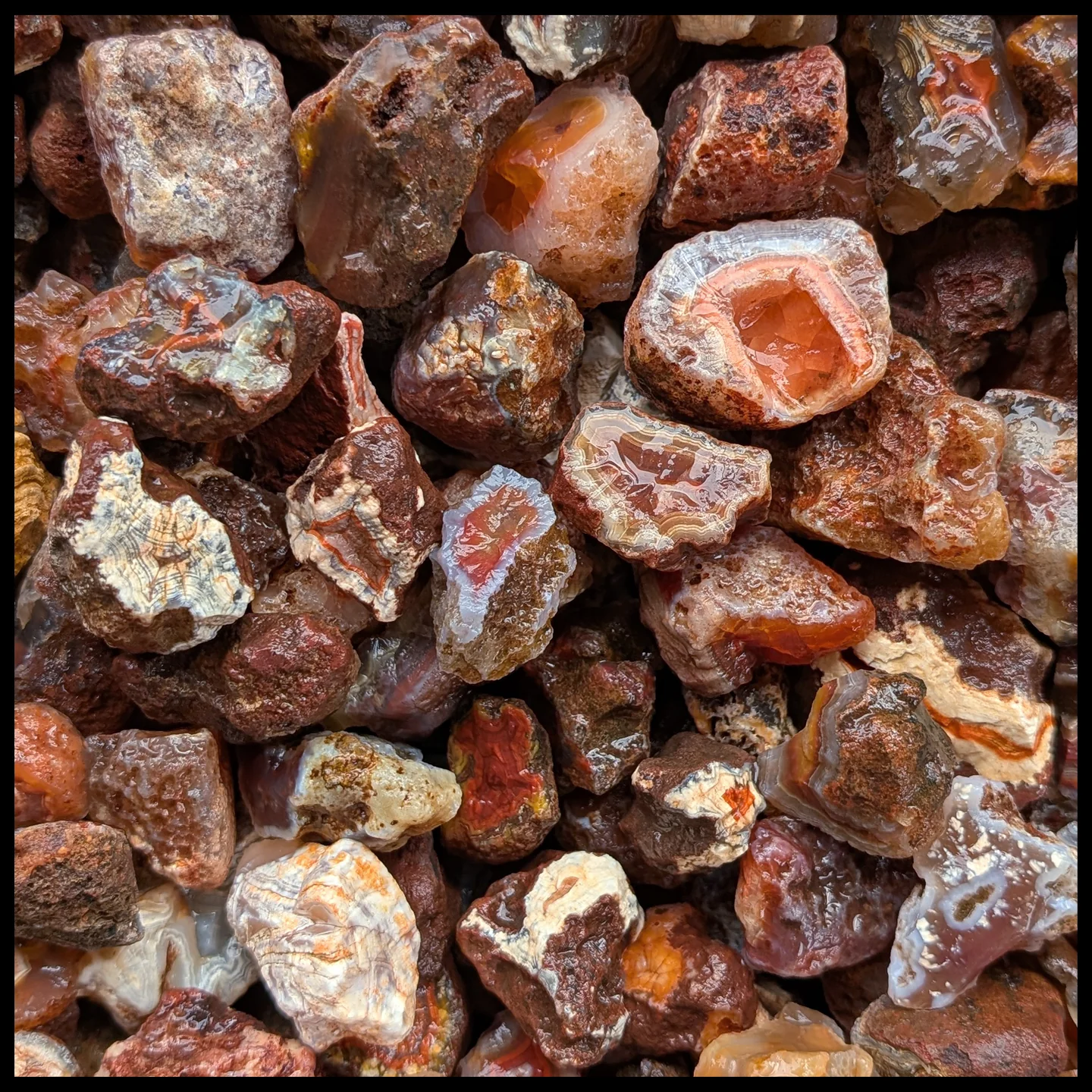 Rough Rock